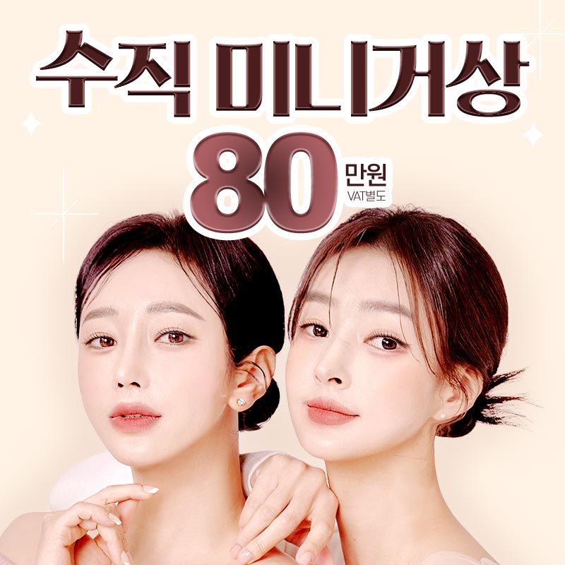 MINI Lifting 수직미니거상