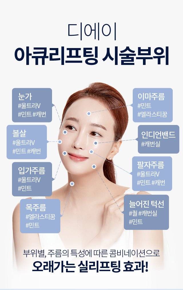 디에이 실리프팅