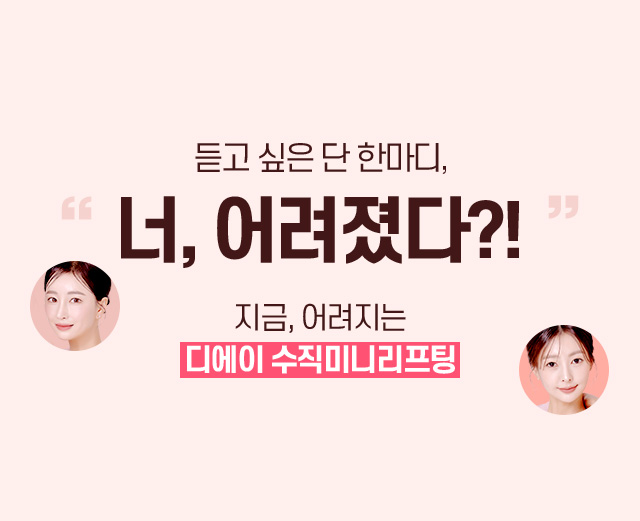 디에이 수직미니리프팅