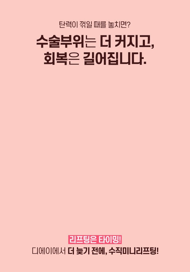 디에이 수직미니리프팅