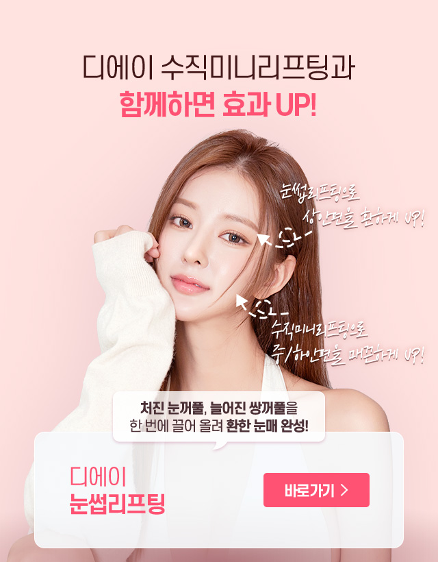디에이 수직미니리프팅