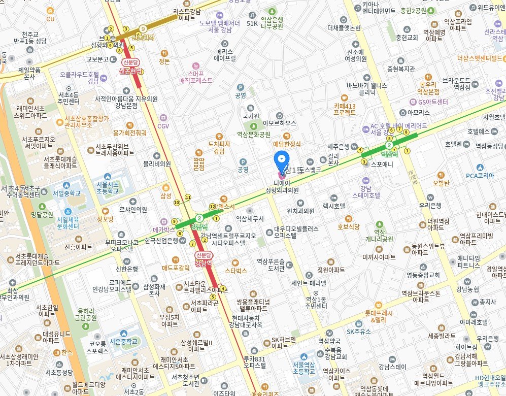 디에이성형외과 위치 지도 (서울특별시 강남구 테헤란로 125)